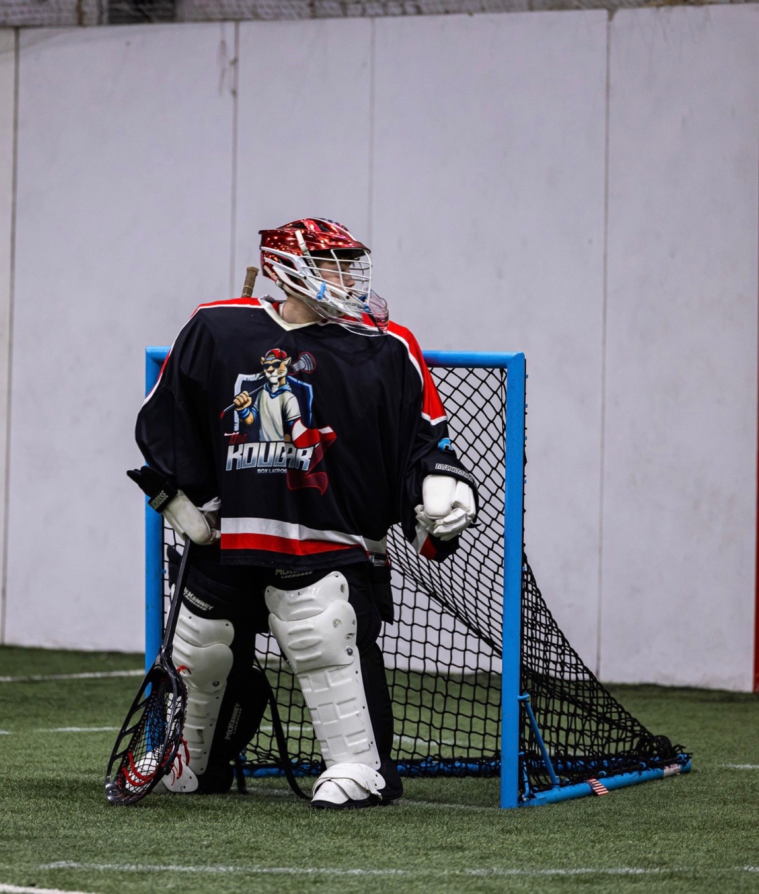 Kougarz box lacrosse goalie guarding the net